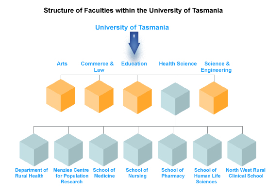 Faculty Structure
